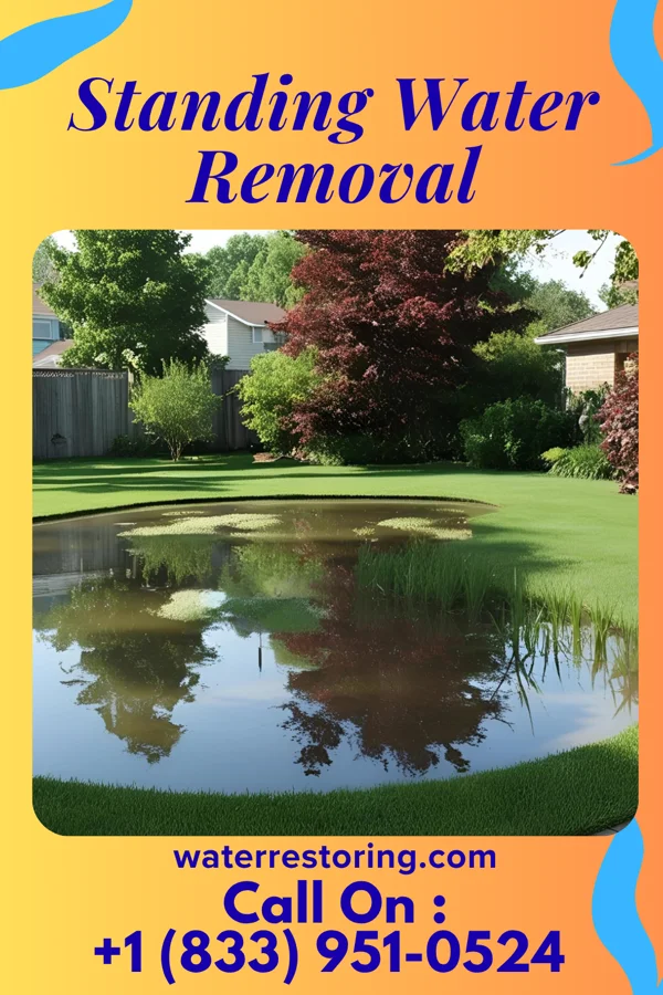 Standing Water Removal in Lawrenceburg, TN